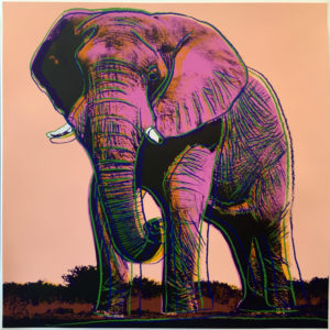 Andy Warhol | Endangered Species | African Elephant 293 | 1983 | Image of Artists' work.