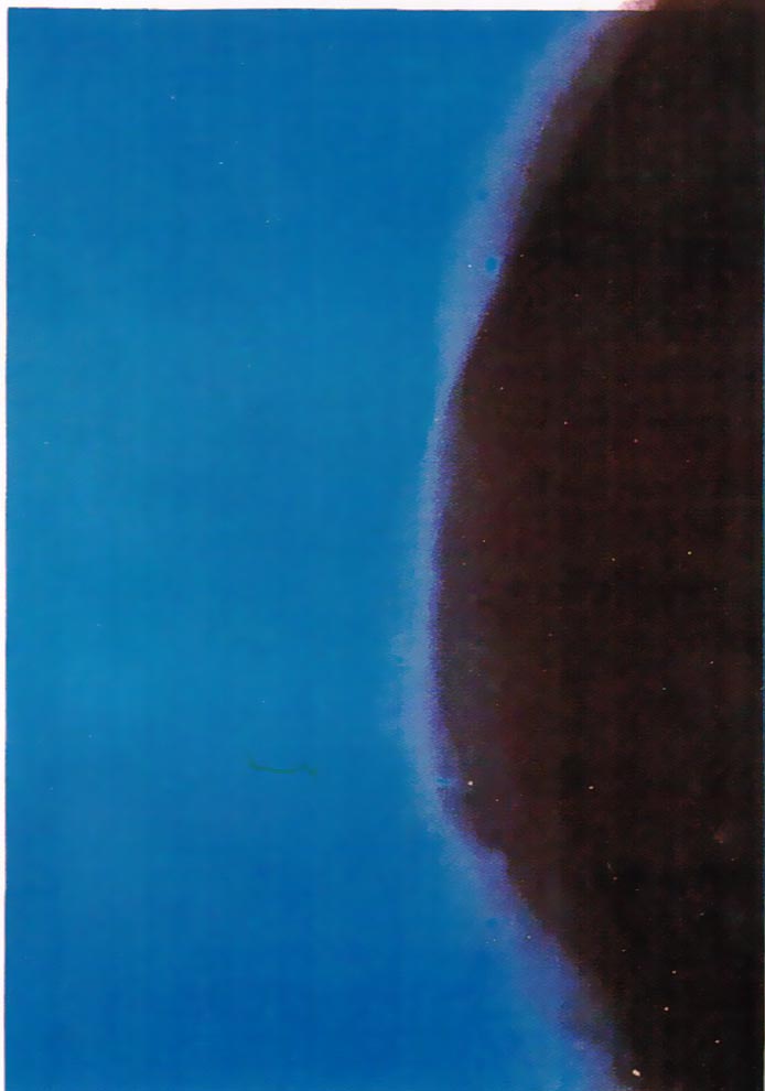 Andy Warhol | Shadows II 213 | 1979 | Image of Artists' work.