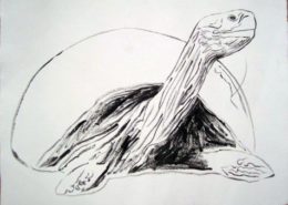 Andy Warhol | Galapagos Tortoise | 1986 | Image of Artists' work.