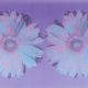 Andy Warhol | Daisy | Double | 1982 | Image of Artists' work.