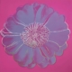 Andy Warhol | Flower for Tacoma Dome | 1982 | Image of Artists' work.