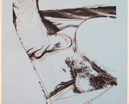 Andy Warhol | Sex Parts | 172 | 1978 | Image of Artists' work.