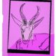 Andy Warhol | Sommering Gazelle | Vanishing Animals | 1986 | Image of Artists' work.