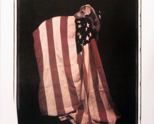 Profiles in Patriotism | 1992 | Image of Artists' work.