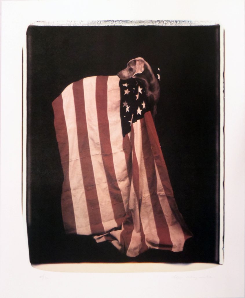 Profiles in Patriotism | 1992 | Image of Artists' work.