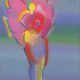 Peter Max | Angel with Heart in Spectrum | Image of Artists' work.