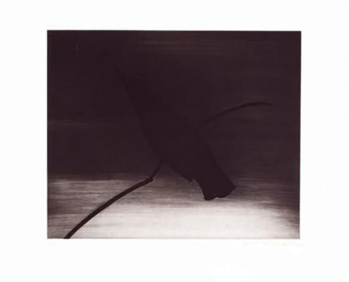 Joe Andoe | Crow I | 1996 | Image of Artists' work.