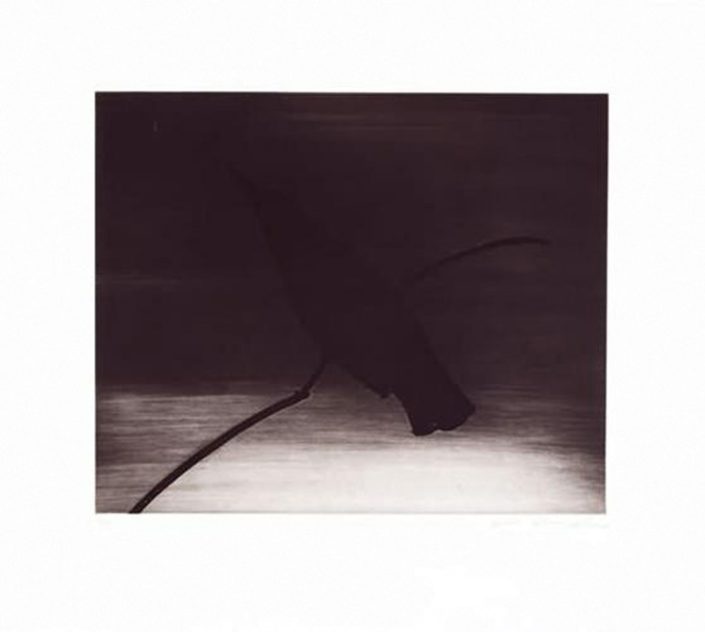 Joe Andoe | Crow I | 1996 | Image of Artists' work.