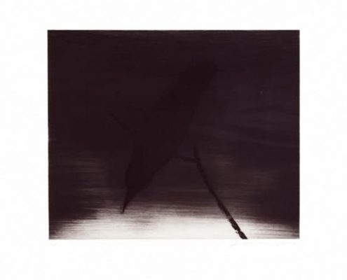 Joe Andoe | Crow II | 1996 | Image of Artists' work.