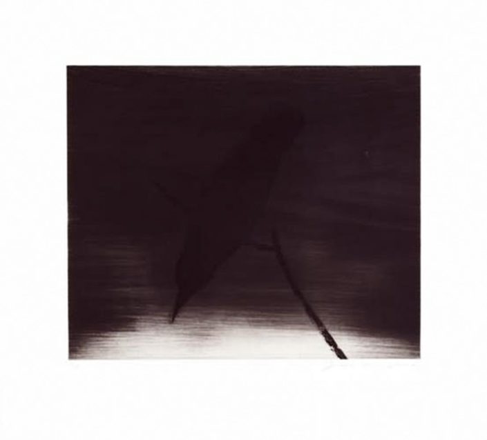 Joe Andoe | Crow II | 1996 | Image of Artists' work.