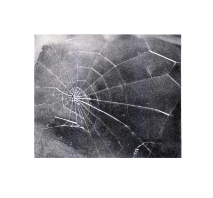 Vija Celmins | Spider Web | 2009 | Image of Artists' work.