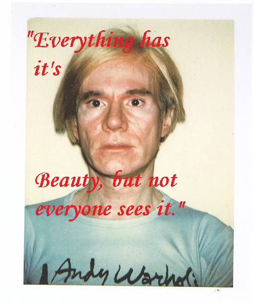 Andy Warhol Quote | Everything has it's beauty but not everyone sees it"