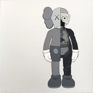 aws | Dissected Companion (Gray) | 2006