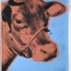 Andy Warhol | Cow | 11A | 1966