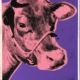 Andy Warhol | Cow | 12A | 1966 | Authenticated