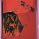 Andy Warhol | Vanishing Animals - California Condor | 1986