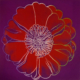 Andy Warhol | Flower for Tacoma Dome IIIA.37 | CA. 1982