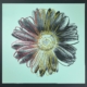 Andy Warhol | Daisy, IIIA.38 | ca. 1982