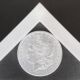 Robert Mapplethorpe | Silver Dollar | 1988
