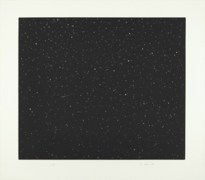 Vija Celmins | Comet | 1992